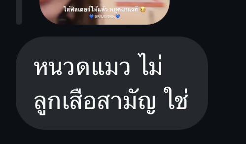 ม่ะม่อน𐙚 tweet media