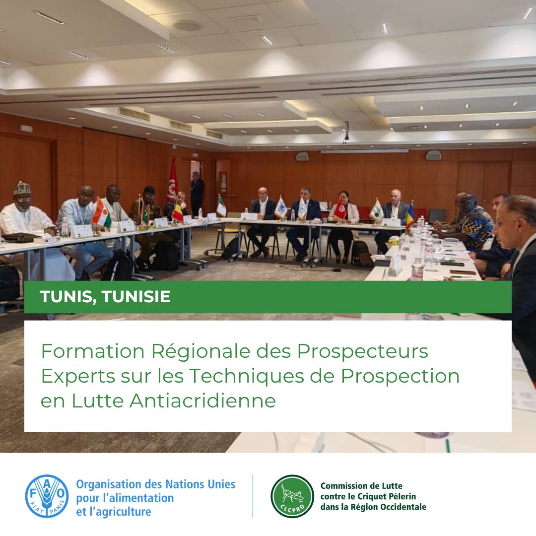 FAOCLCPRO's tweet photo. @FAO Pendant huit jours, les prospecteurs alterneront théorie, exercices pratiques sur le terrain et échanges d’expériences. L’accent sera mis sur la qualité des données collectées, l’harmonisation des pratiques et l’usage d’outils modernes tels que le GPS, eLocust et les drones. 🦗🌱 https://t.co/10KlFyFufb