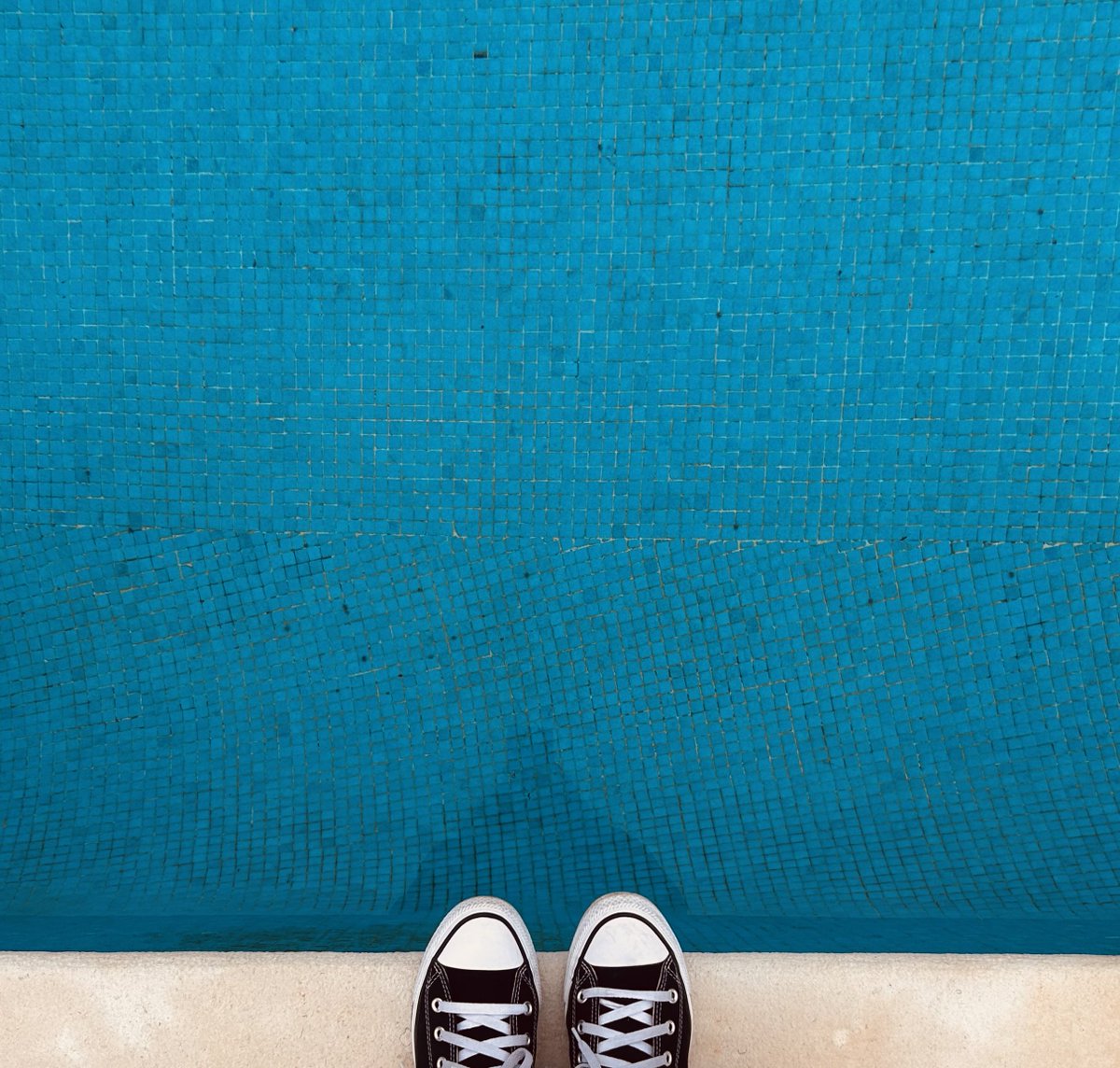 Maria Barros tweet media