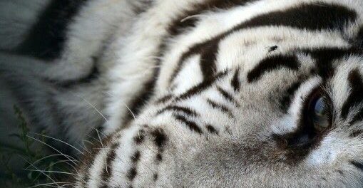 mika ৻ꪆ ( 2 / 10kg ) tweet media