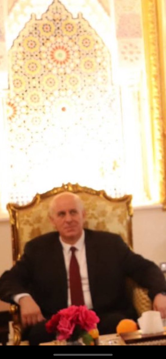 🔻spider-panne 🇩🇿🇵🇸 tweet media