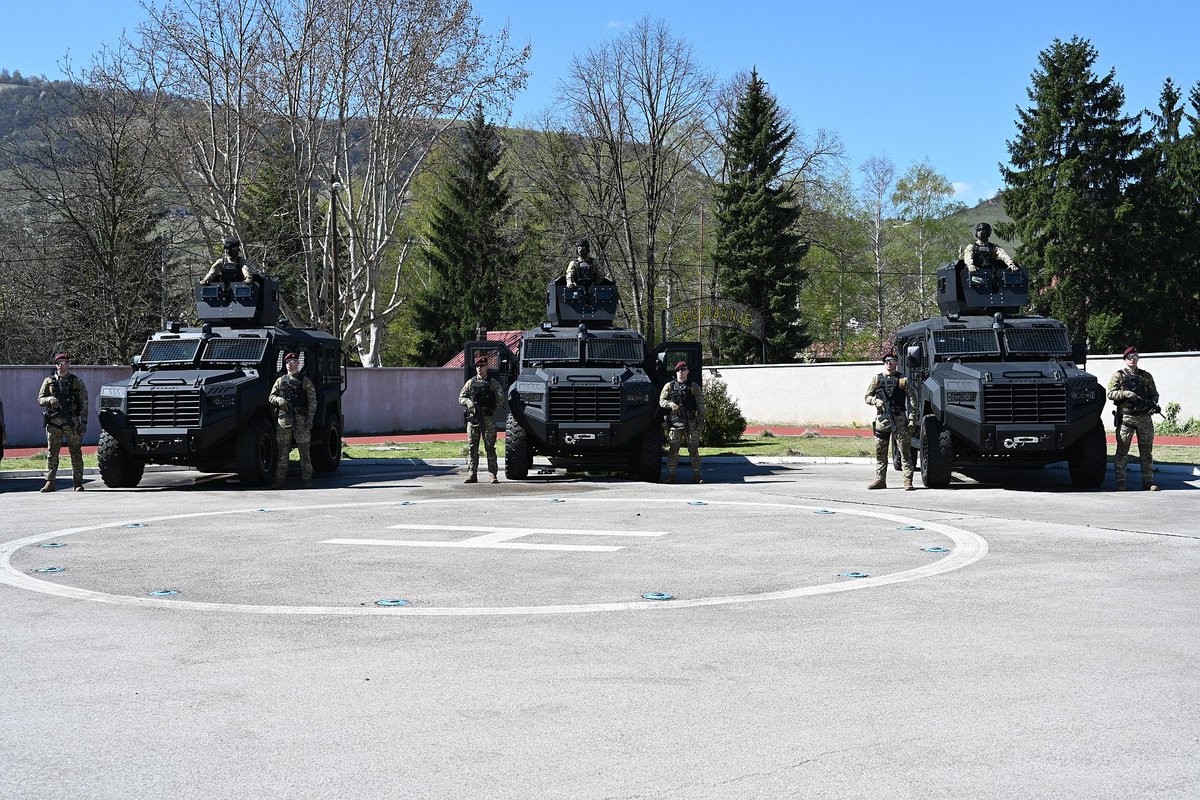 GOLDZEN 🇧🇦 tweet media