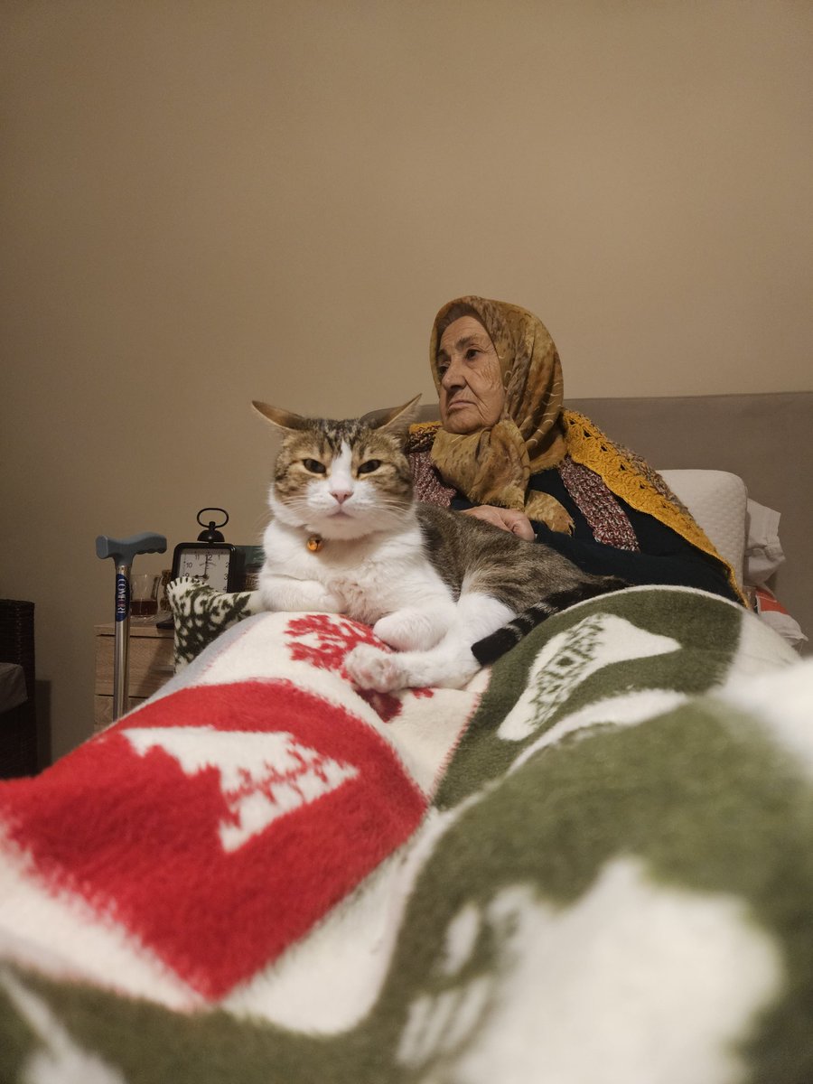 efe huça🧸🙀💩👽 tweet media