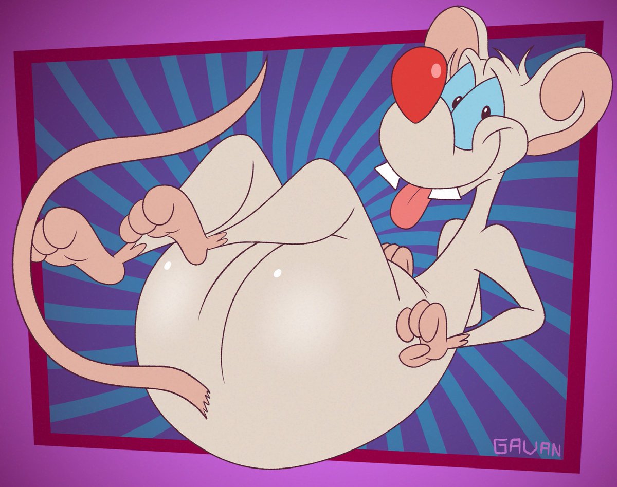 Gavan-Zude tweet media