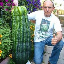 Tornavida_ tweet media