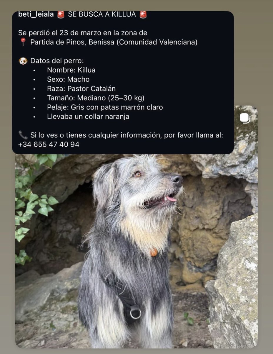 Jan2030sinmiedo tweet media