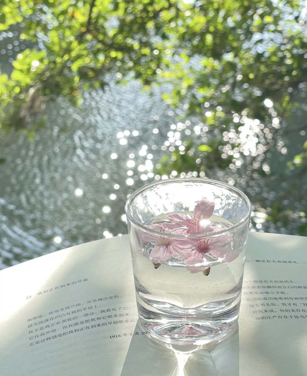 Ambre SAISON tweet media