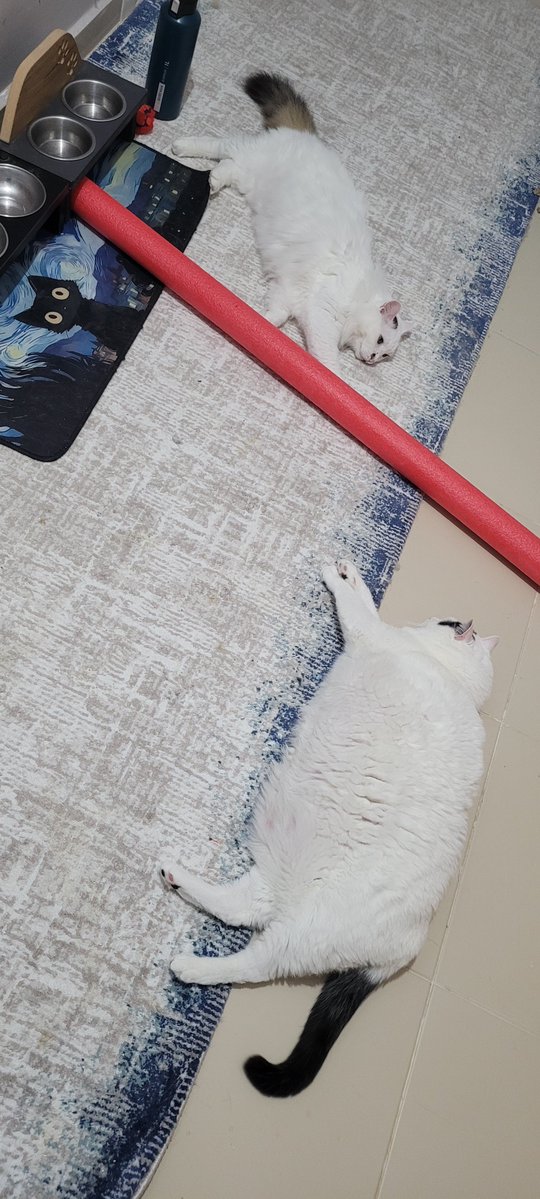 Dev-Pati tweet media