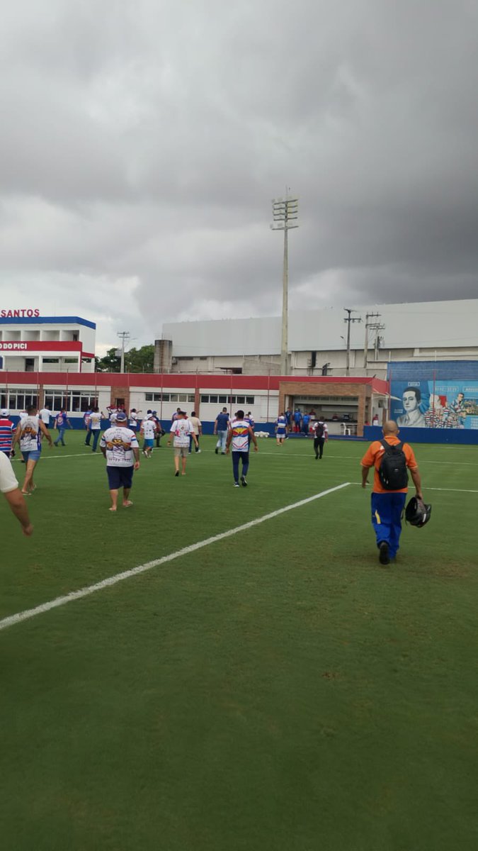 Pedro Brasil tweet media