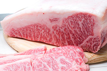 Embassy of Japan in Canada tweet media