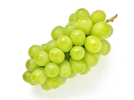 Embassy of Japan in Canada tweet media