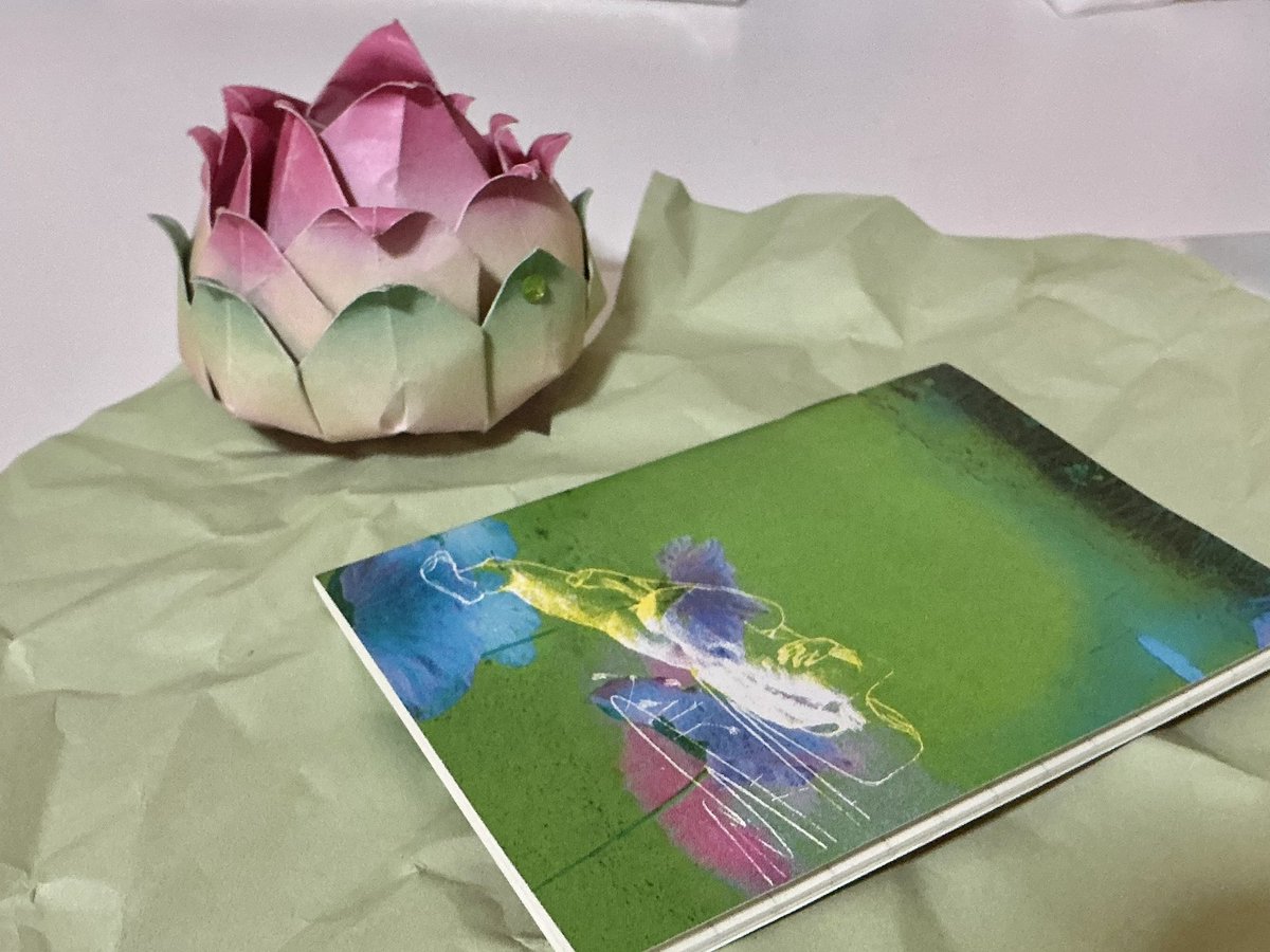 sunsetz. tweet media