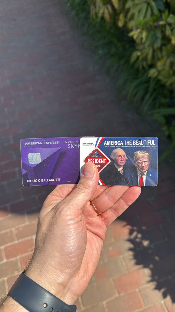 Giulio Gallarotti tweet media