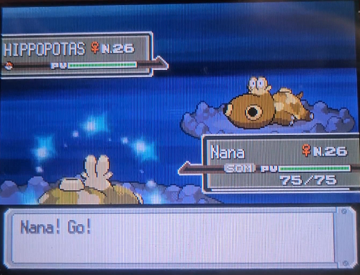 ENFIN !!! Hippopotas brille finalement après 12 363 rencontres, et c'est une femelle ! ✨

Cette recherche est super lente et était en console simple, fallait bien évidemment overodds sur ce type de shasse... mais bon, je peux passer à la suite, maintenant !