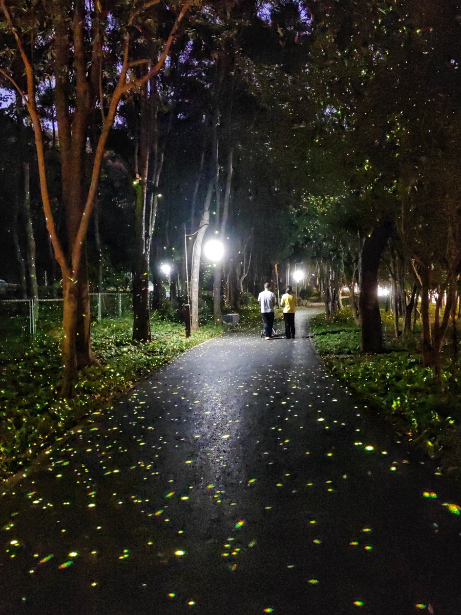 SylNeutral's tweet image. "Small daily moves = big health wins! ♀ Sleep 7hrs, walk 10 mins, sip water hourly—tiny habits stack to boost energy u0026 mood. Start today! #HealthHacks #DailyWellness"