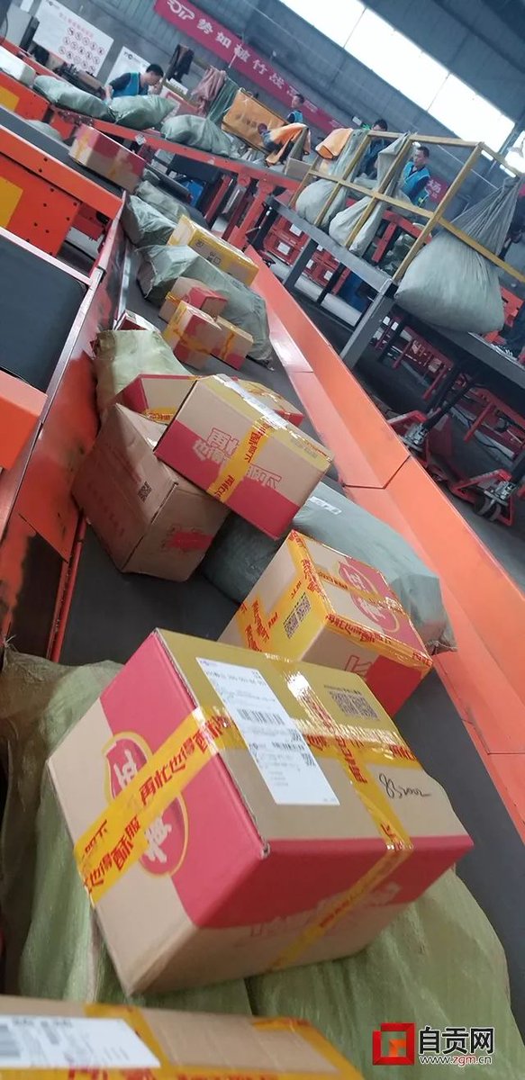 gray_lisa tweet media