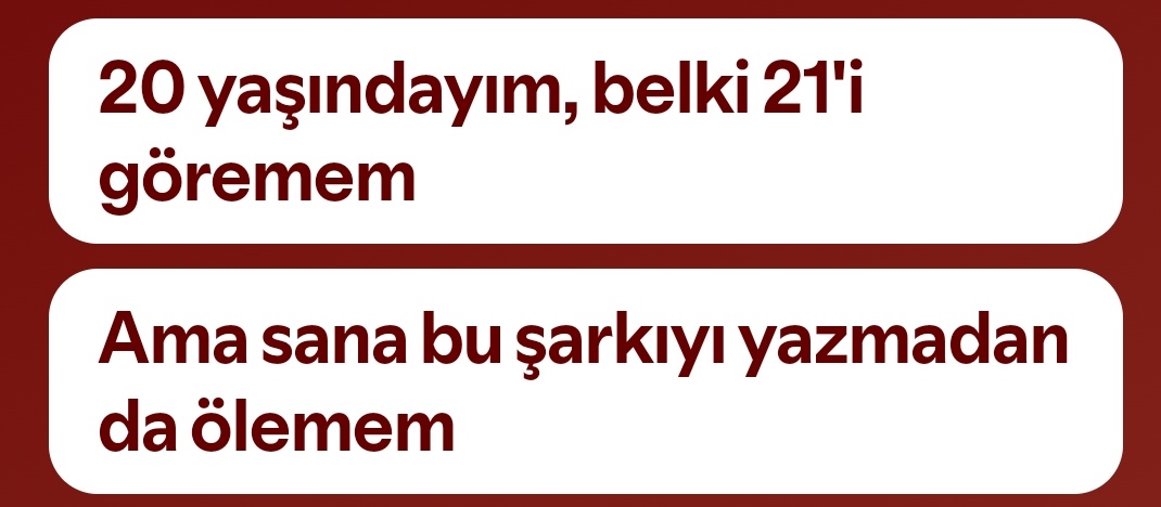 cinar vogel tweet media