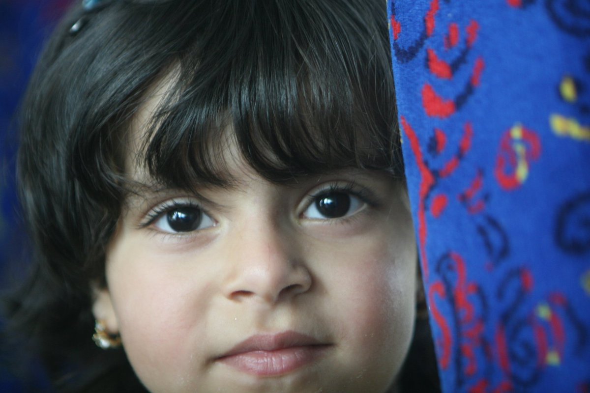 Islam Ashraf tweet media