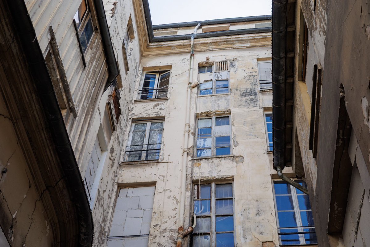 David Belliard tweet media