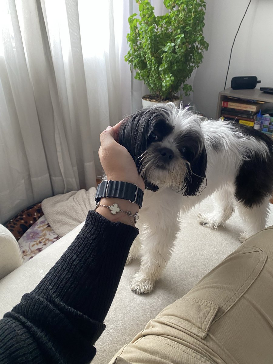 Tochita hermosa 🥰