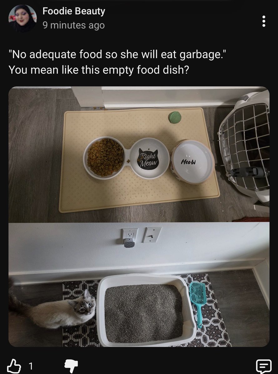 Kristin  tweet media