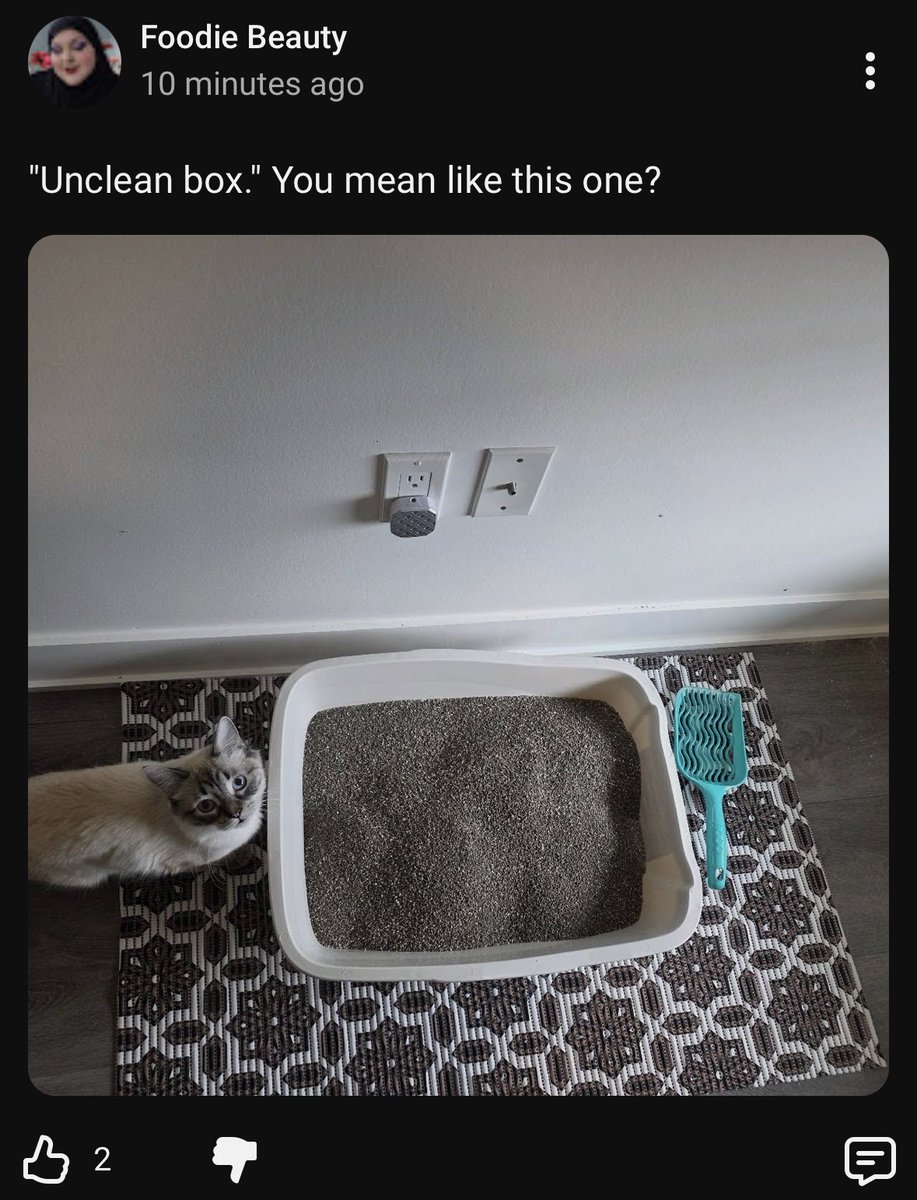 Kristin  tweet media