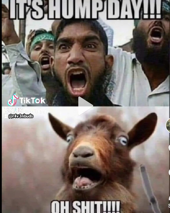 JaySaid_SO tweet media