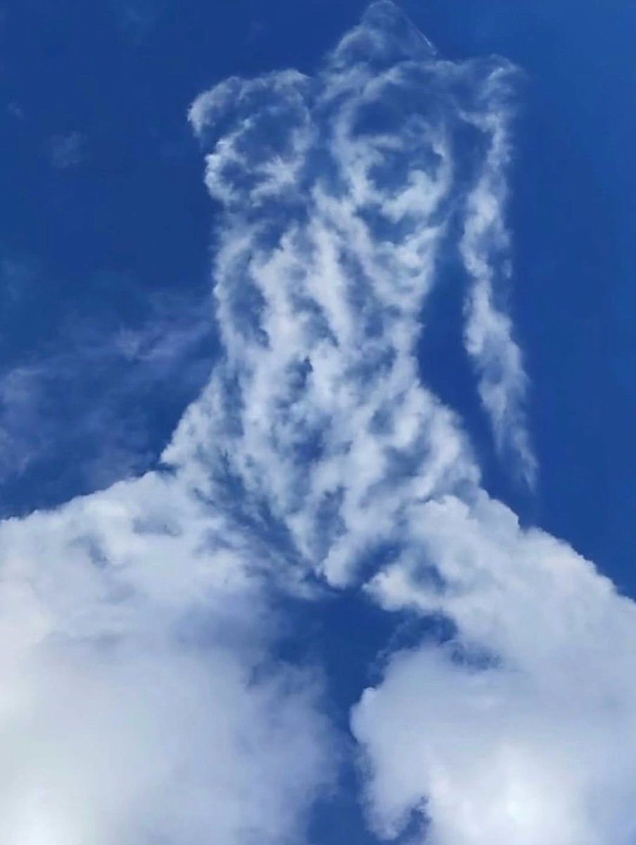 𝙺𝚑𝚊𝚕𝚎𝚎𝚜𝚒 ♡ tweet media