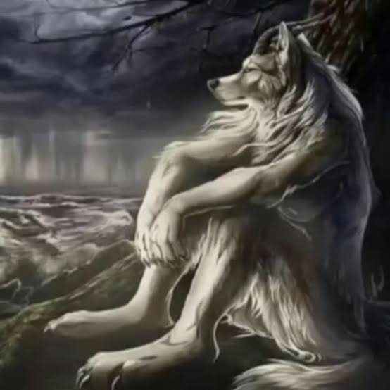 DRA. Ivo Evelyn -🔞 tweet media