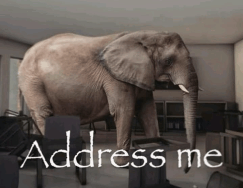 Besu 🍁📚 tweet media