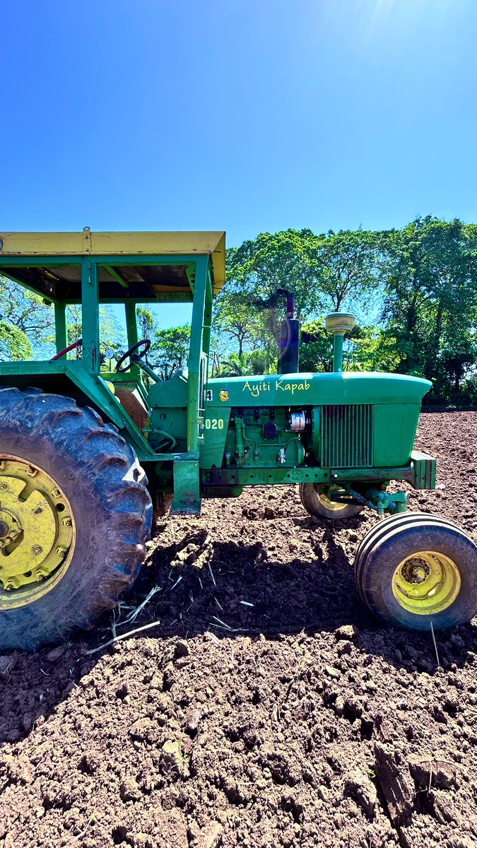 Mrs.Dezod🇭🇹🌱 tweet media