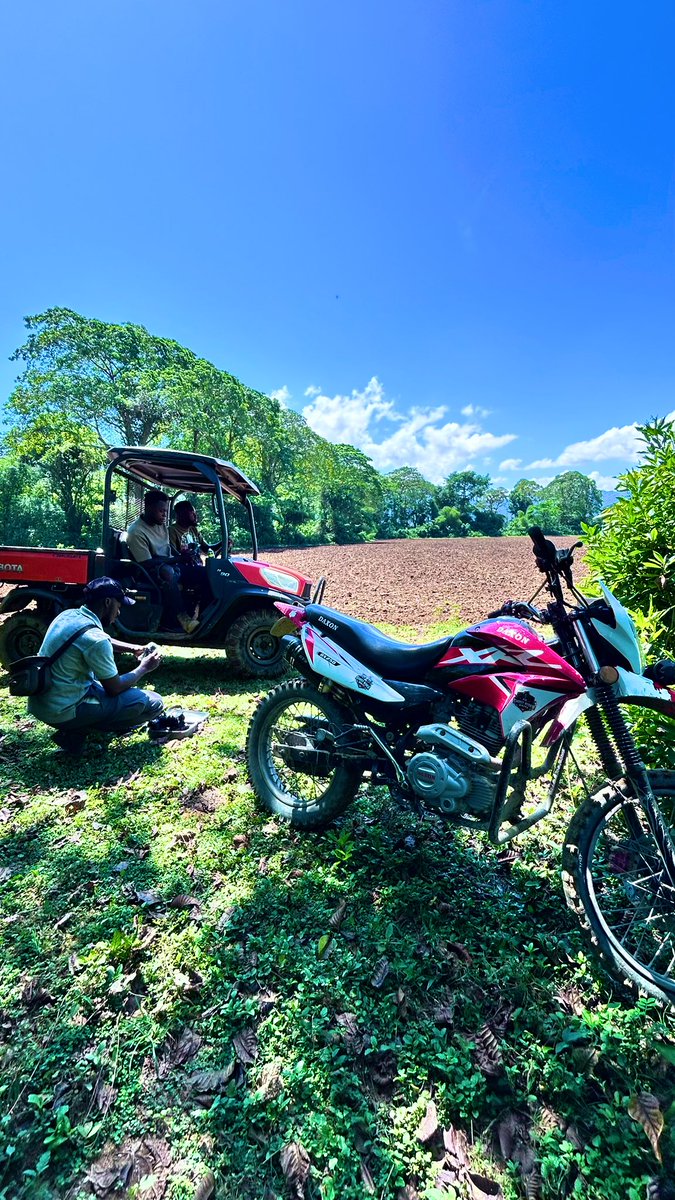 Mrs.Dezod🇭🇹🌱 tweet media