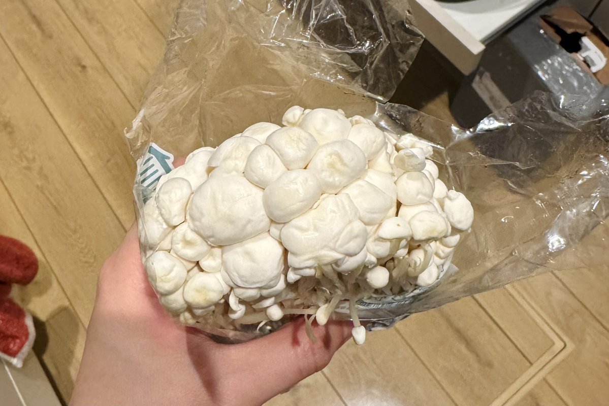 ぼく◒レシピ試作垢 tweet media