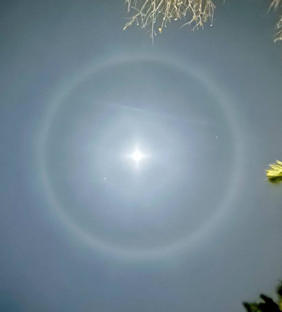 John F. Kennedy Jr tweet media