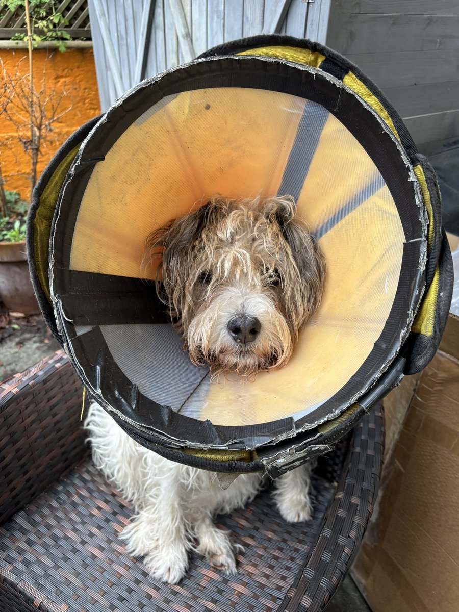 James Dreyfus tweet media