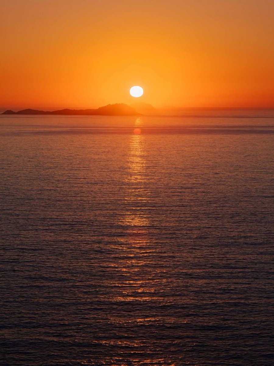 purenature_1's tweet image. Warm sunset beauty ☀️🥰 #summer