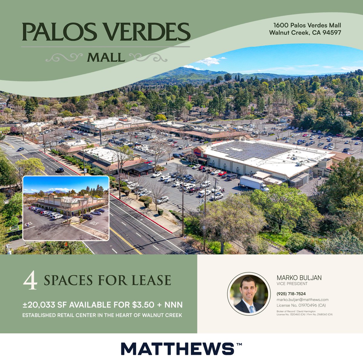 Matthews™ tweet media