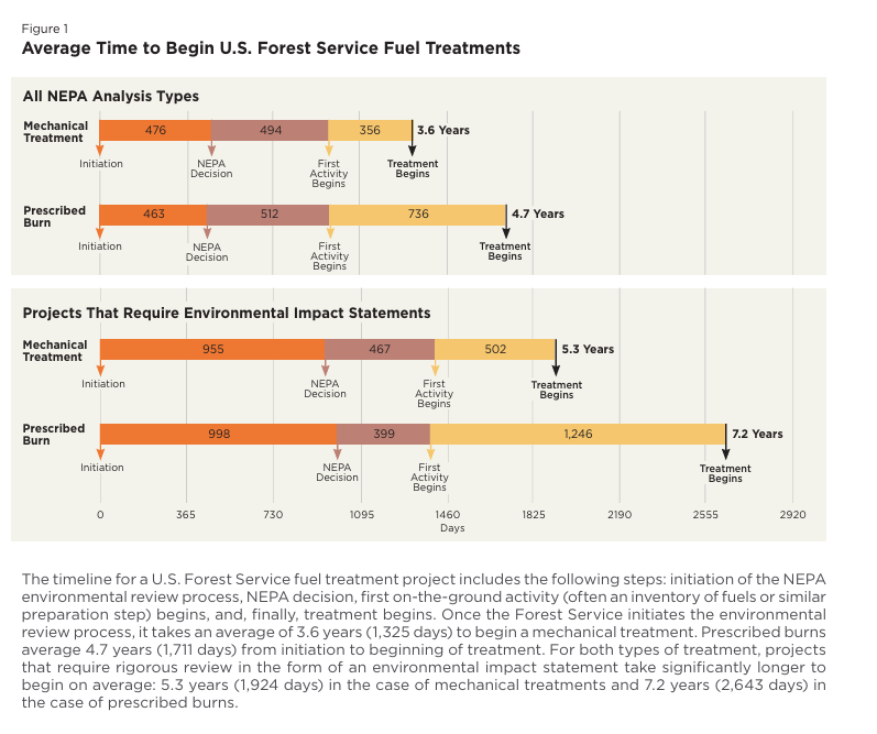 bumbadum tweet media