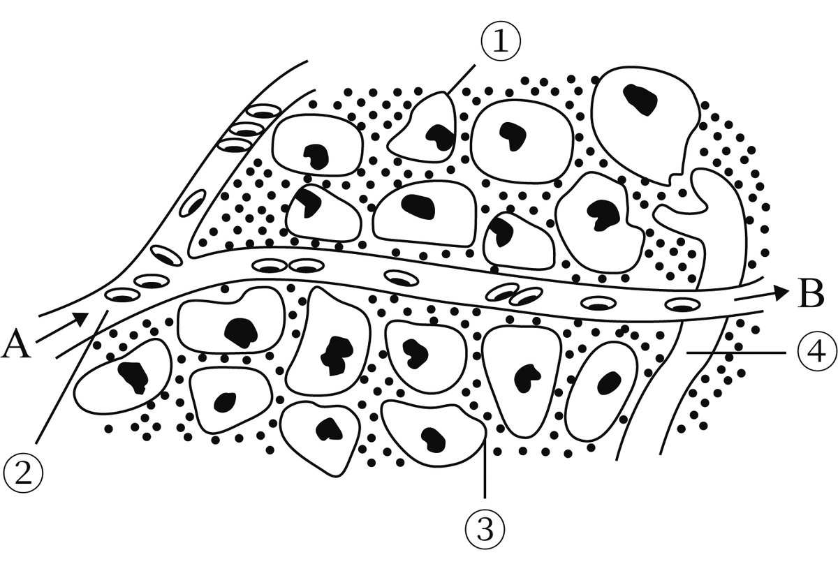 Daniel Zimlich tweet media