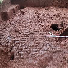 kara boga tweet media