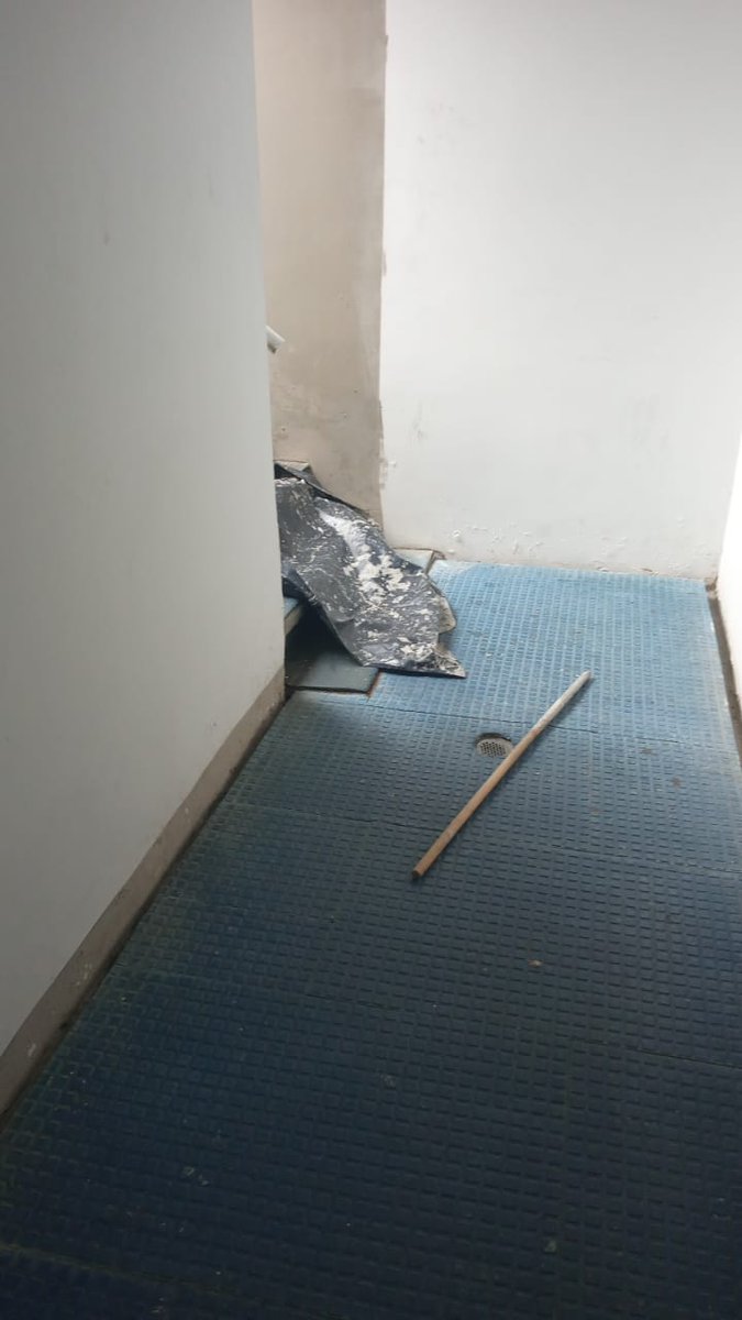 @TigreMoralesPeriodista ⚽ JJ Morales tweet media