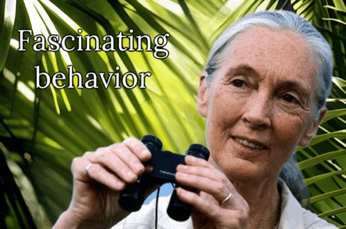 slicktech.eth tweet media