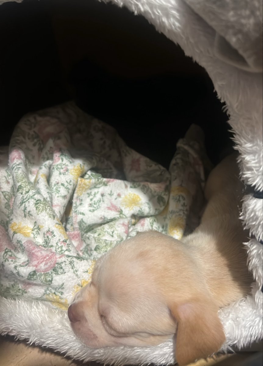 la mejor decisión que pudimos tomar mi novio y yo