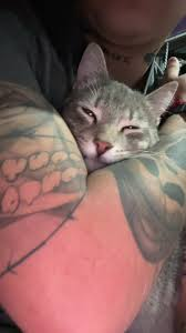 KapoZero⭐¹⁶ tweet media