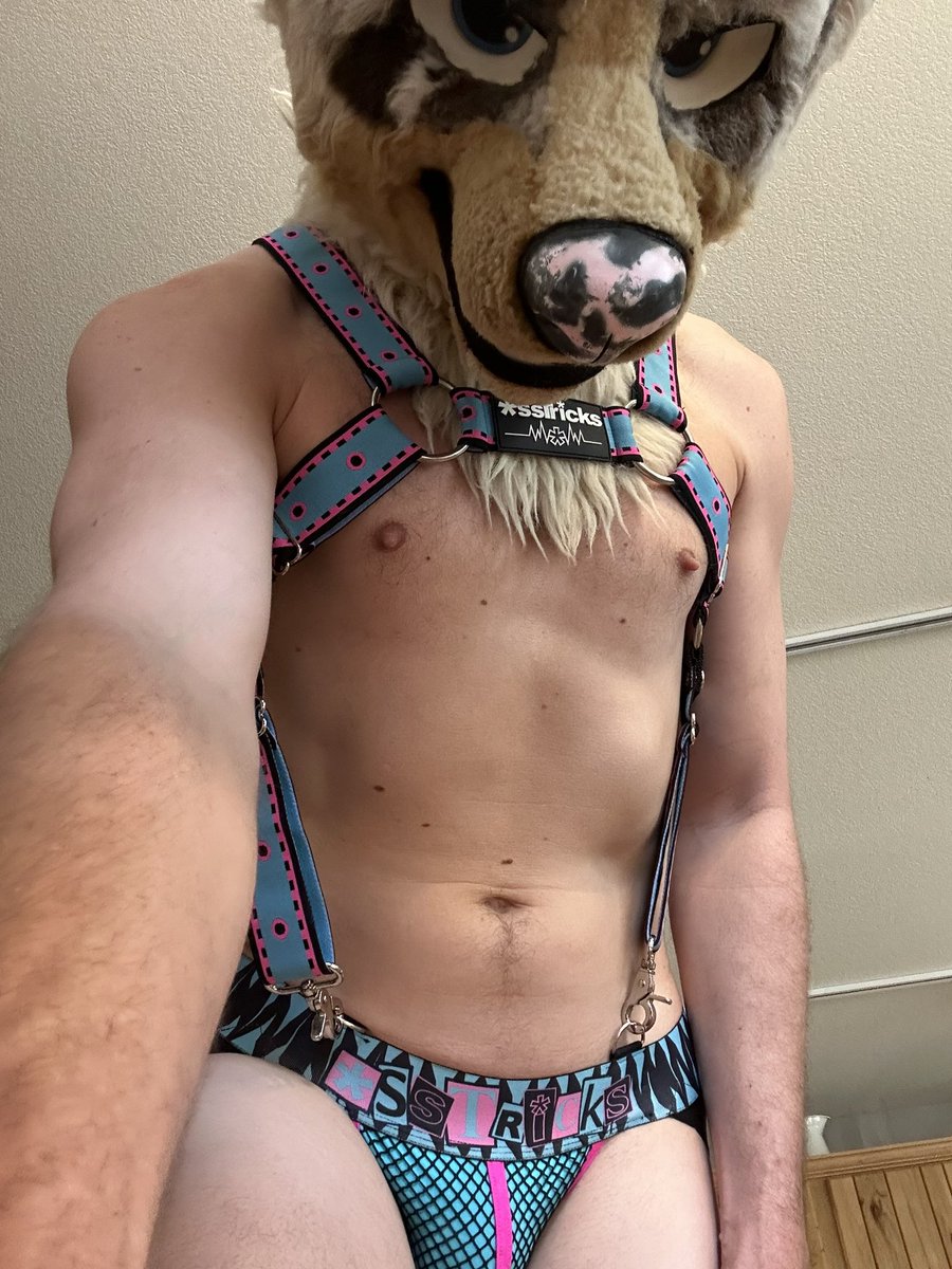 Mutt Hole Surfer ΘΔ 💄🦴🌭🪢 LVFC tweet media