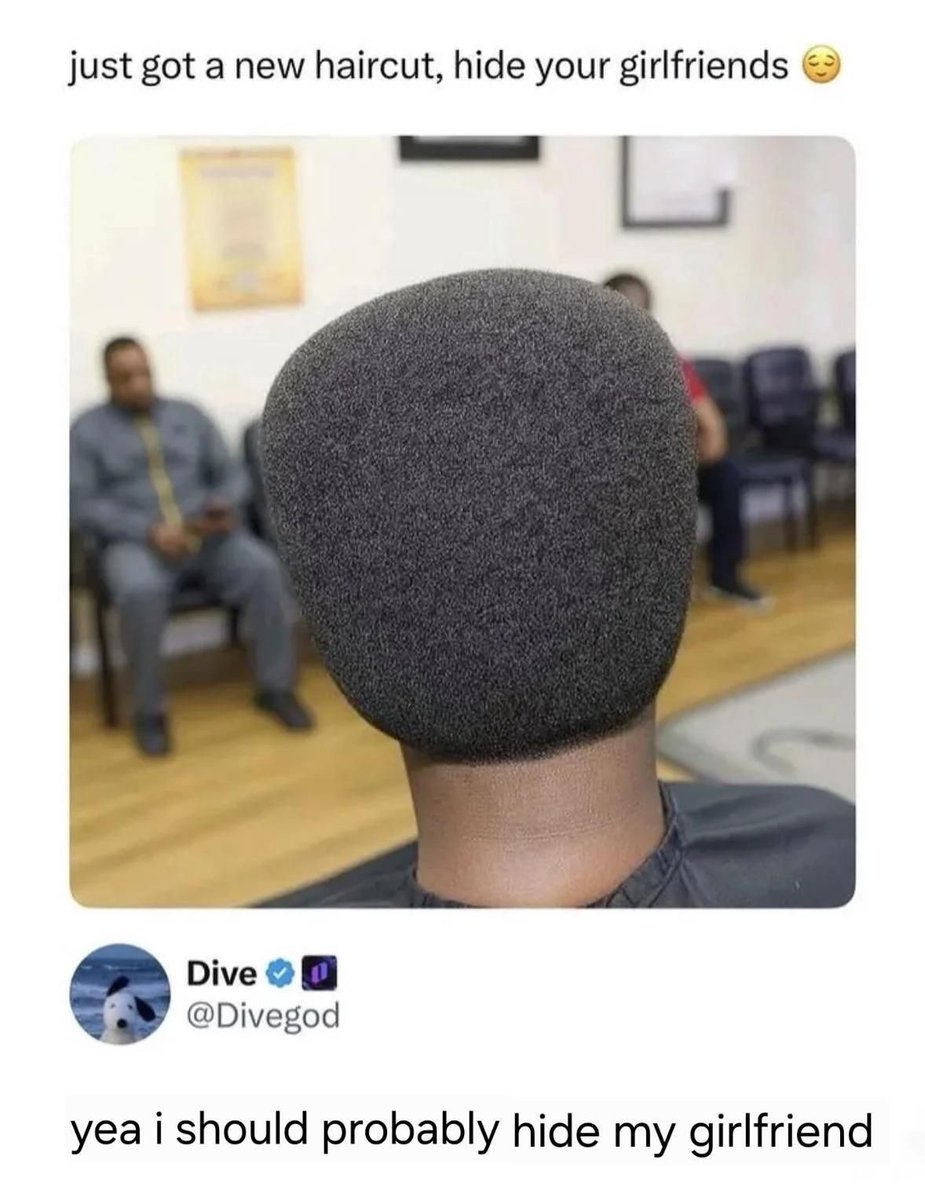 literal memes tweet media