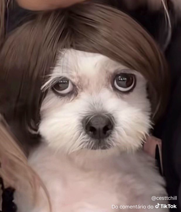 𝐓𝐲𝐧 ♰ tweet media