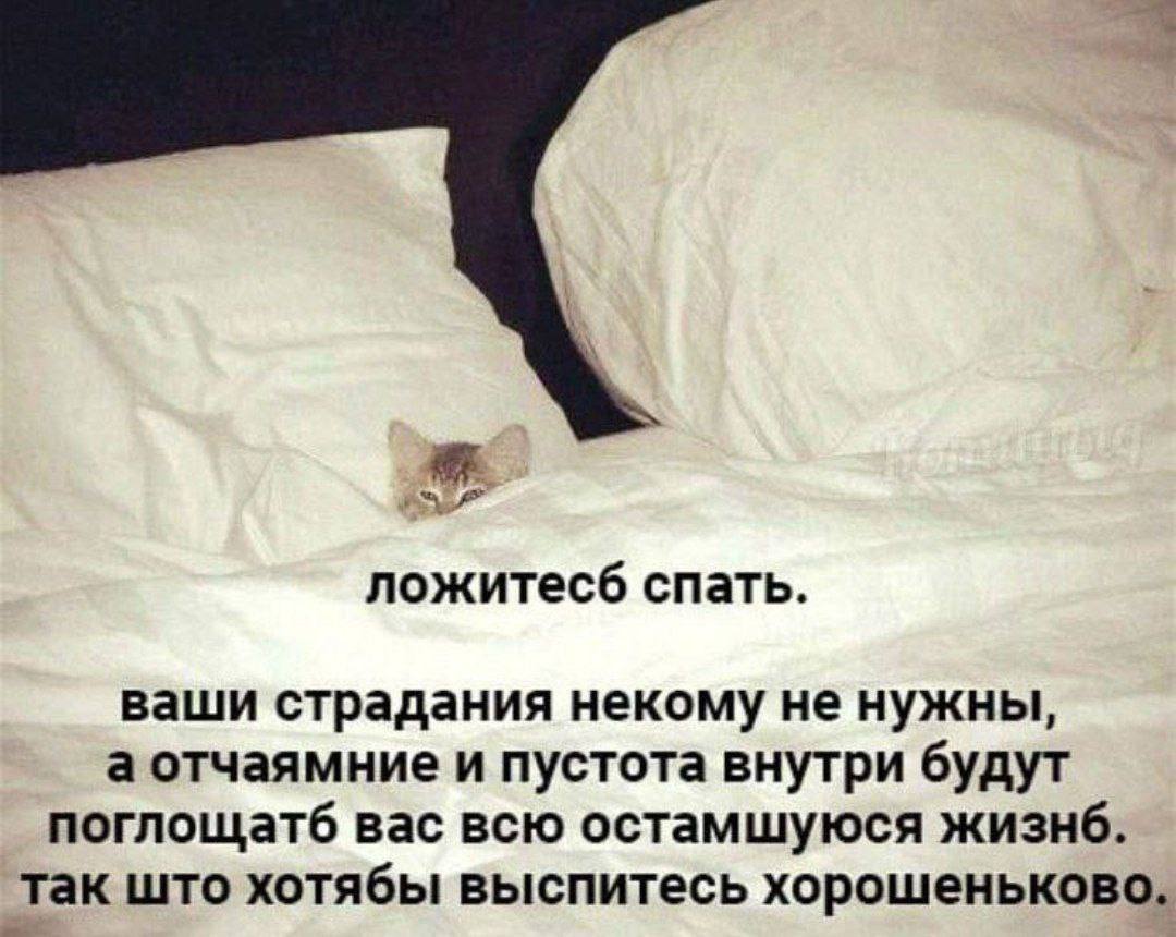 Nickro666's tweet photo. https://t.co/7cGImcVtXW