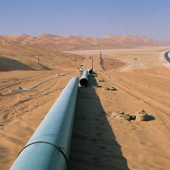 Abu Taym & Siba | أبو تَيْم وصِبا tweet media