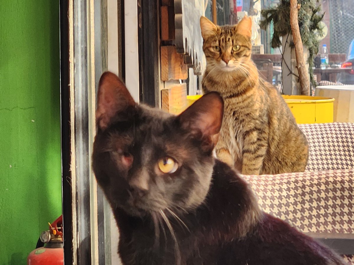 Hepinizi Döverim tweet media